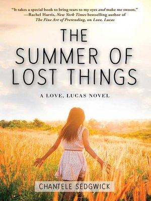 The Summer of Lost Things - ebook